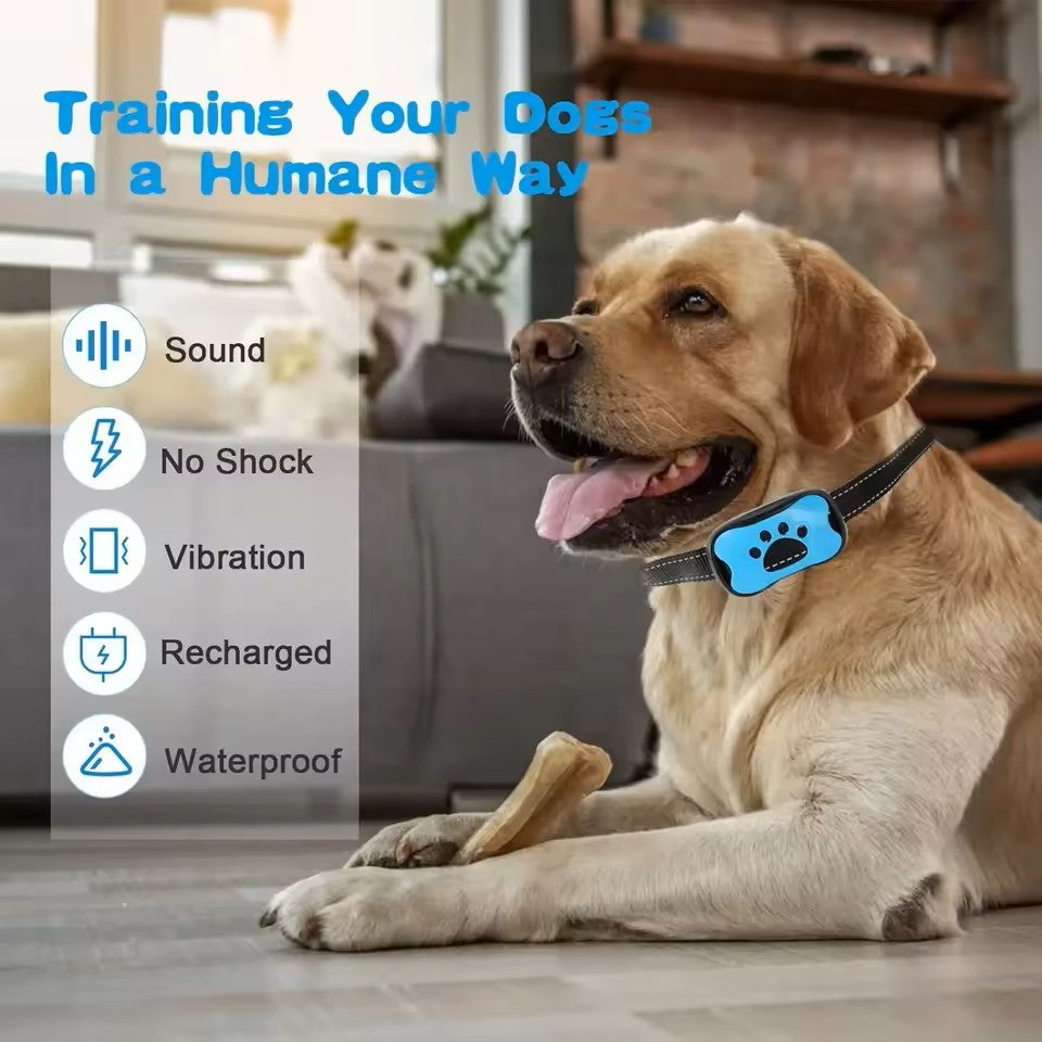 Anti-bark collar
