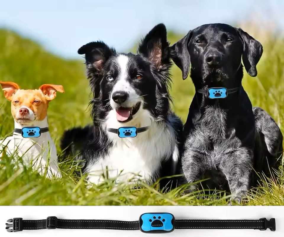 Anti-bark collar