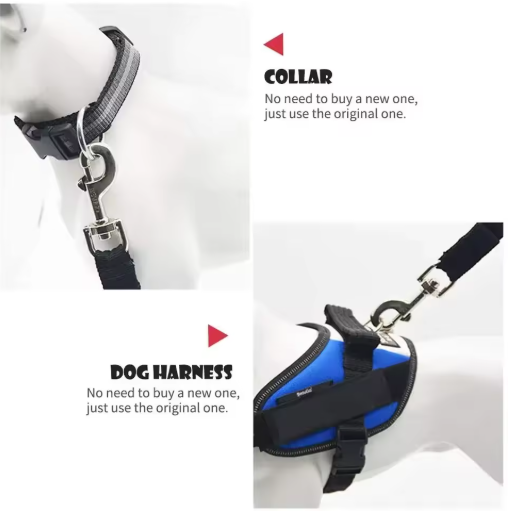 Bevestigings riem auto