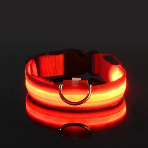 Lichtgevende Halsband