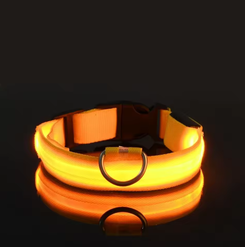 Lichtgevende Halsband
