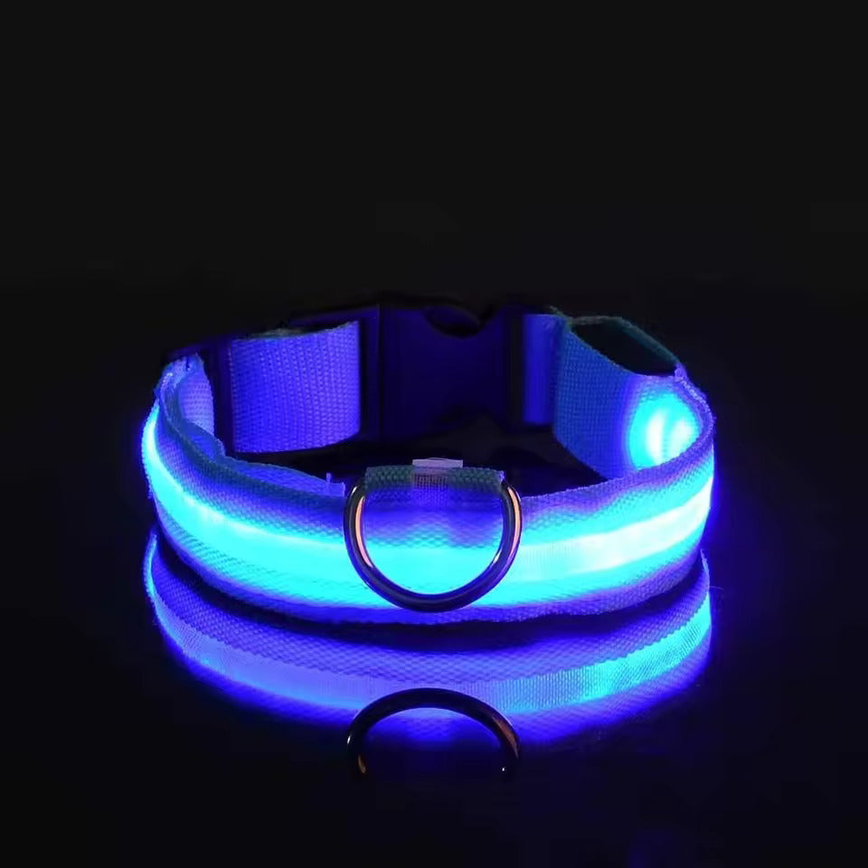 Glowing Necklace