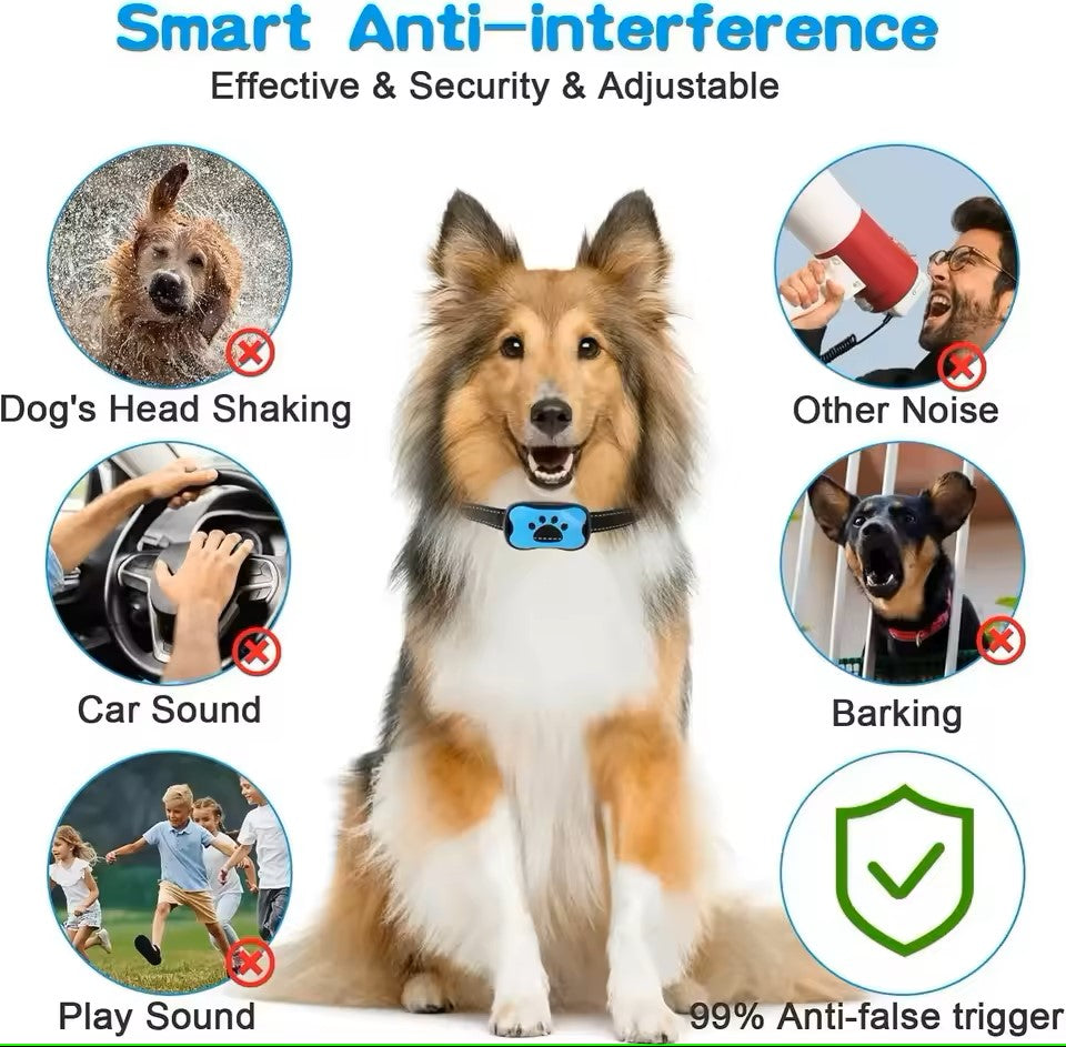 Anti-bark collar