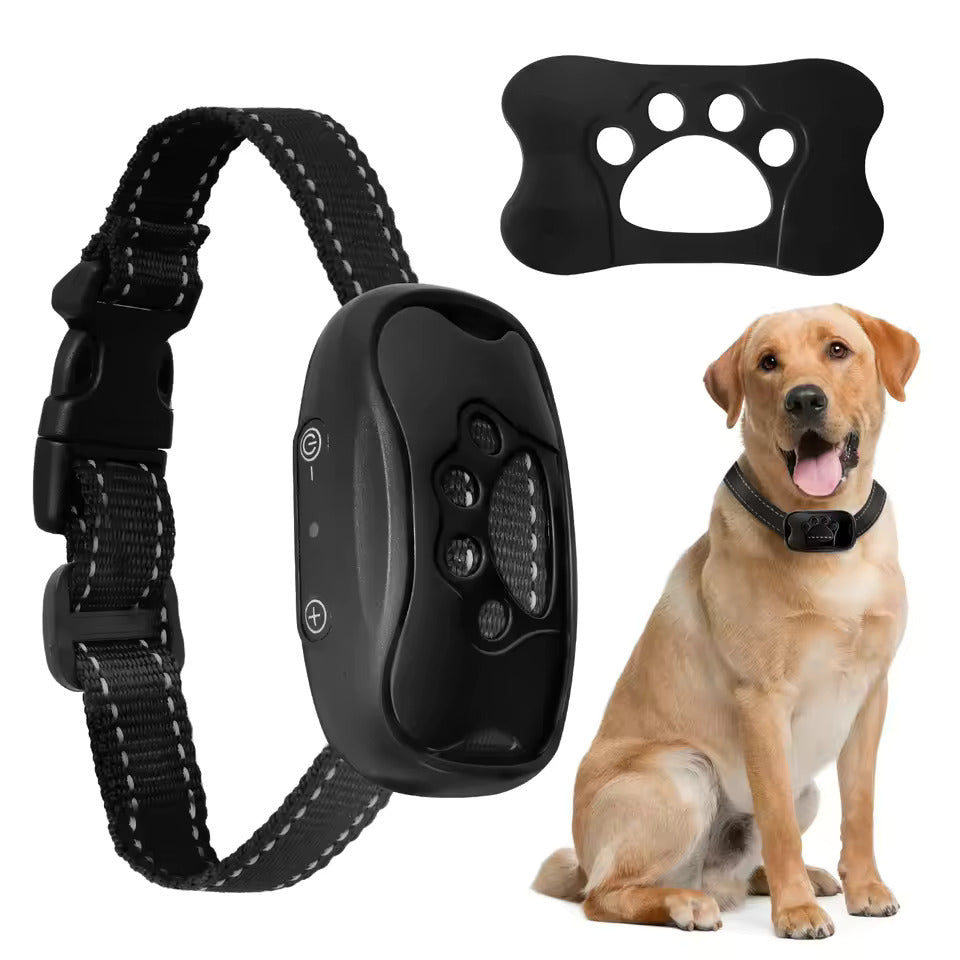 Anti-bark collar