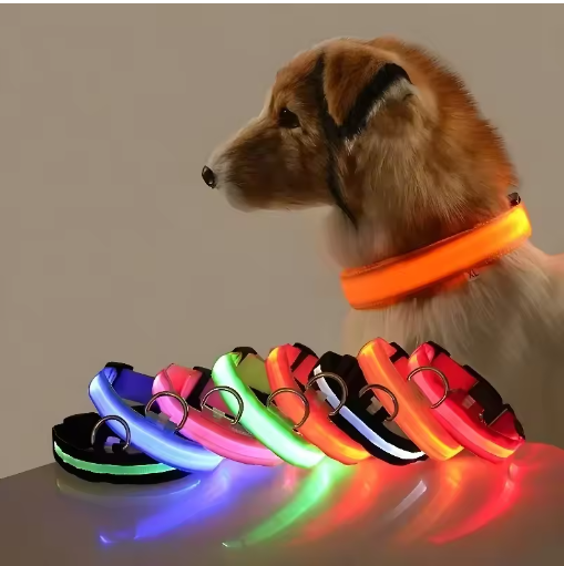 Lichtgevende Halsband