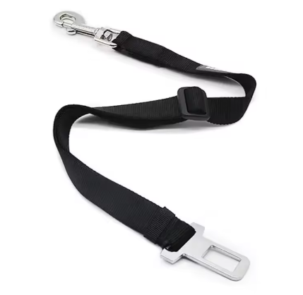 Bevestigings riem auto
