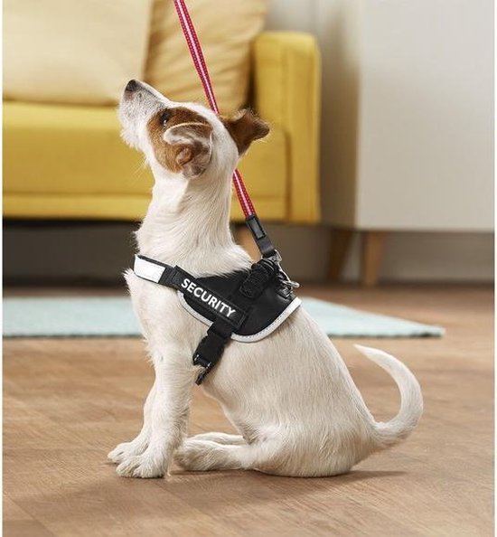 Anti-pull harness for dogs